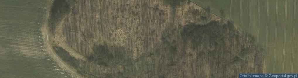 Zdjęcie satelitarne Zamkowa Góra (Papajowa Góra)