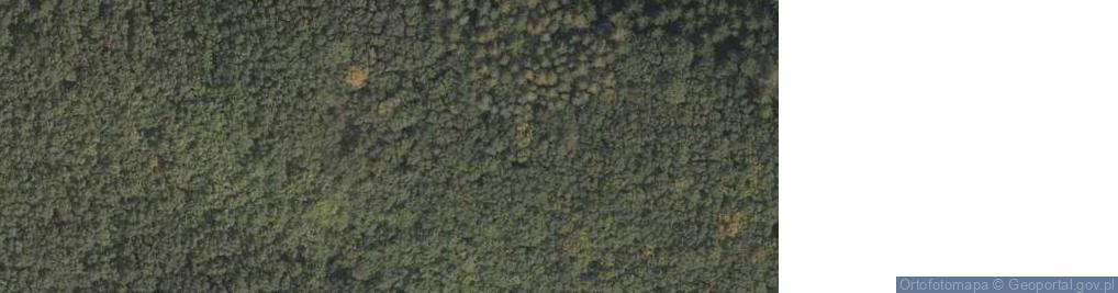 Zdjęcie satelitarne Żarnowiec