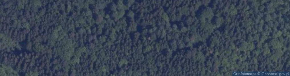 Zdjęcie satelitarne Zielonogóra