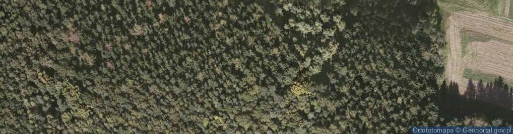 Zdjęcie satelitarne Złotnicka Czuba
