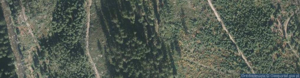 Zdjęcie satelitarne Żor
