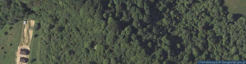 Zdjęcie satelitarne Żukowiec