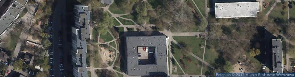 Zdjęcie satelitarne Językowe Domino