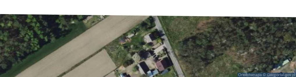 Zdjęcie satelitarne SP im. Batalionów Chłopskich w Rogach