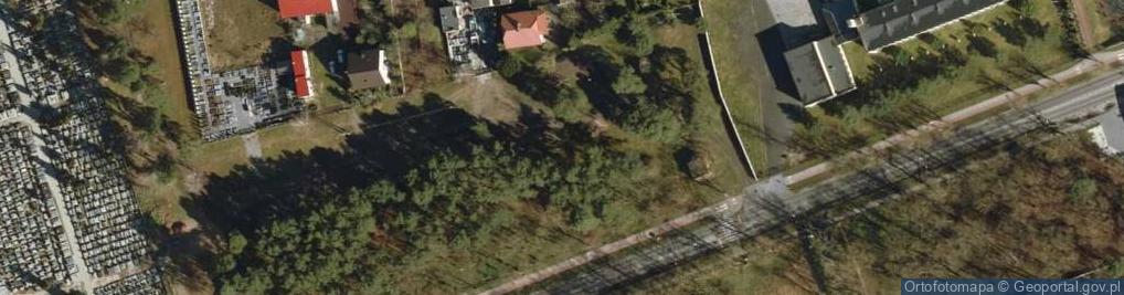 Zdjęcie satelitarne SP nr 2 im. Adama Mickiewicza w Kole