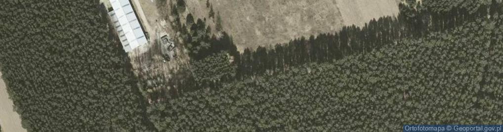 Zdjęcie satelitarne Netia Jelcz-Laskowice