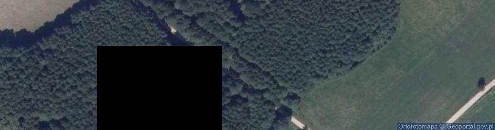 Zdjęcie satelitarne nr 839
