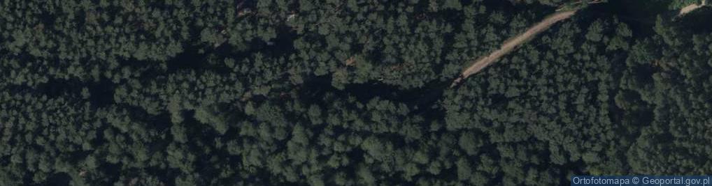 Zdjęcie satelitarne Trafostacja