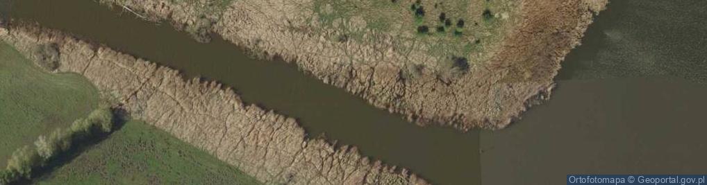 Zdjęcie satelitarne Jezioro Szarlejskie - rz. Noteć