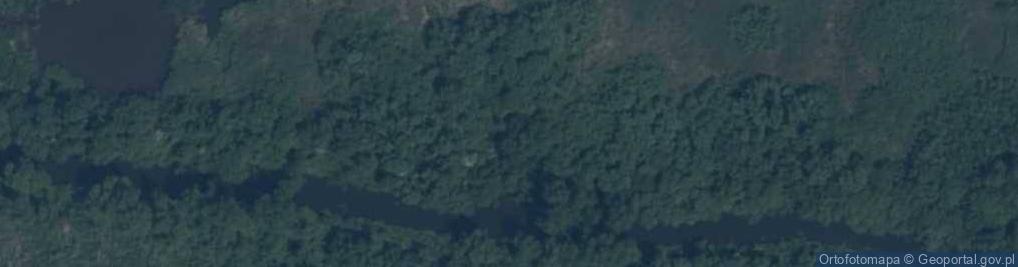 Zdjęcie satelitarne rz. Wąska