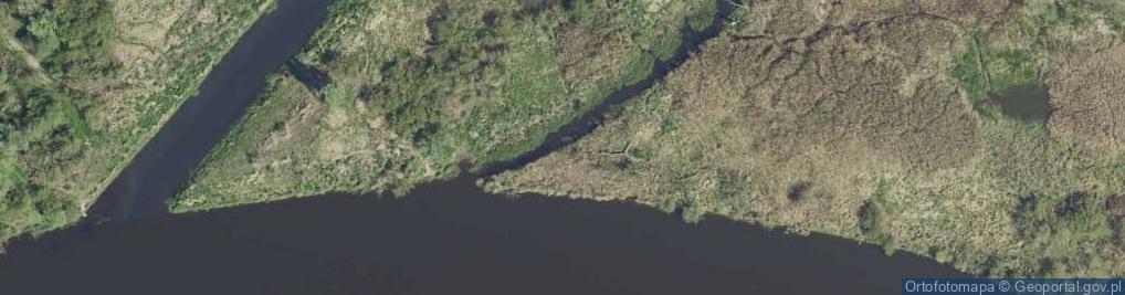 Zdjęcie satelitarne Stara Noteć- rz. Noteć [P]