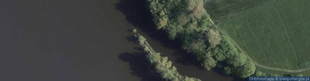 Zdjęcie satelitarne ujście Drwęcy- rz. Wisła [P728
