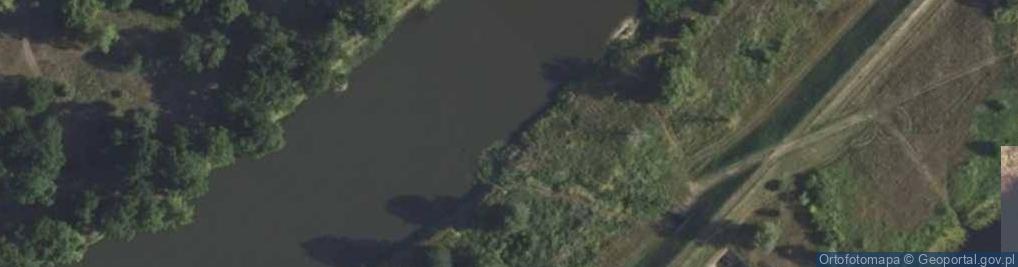Zdjęcie satelitarne Ujście Granicznego Kanału do rz. Warta