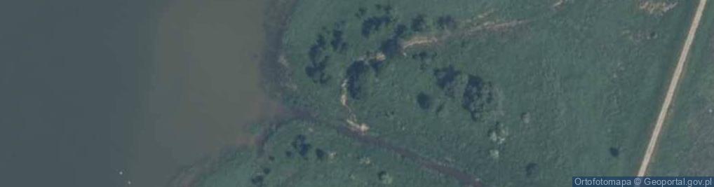 Zdjęcie satelitarne Ujście Kadyńskiej Strugi do Zalewu Wiślanego