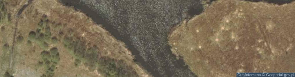 Zdjęcie satelitarne Ujście Kanału Elbląskiego do Liwskiego Jeziora