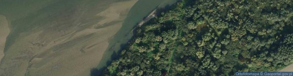 Zdjęcie satelitarne Ujście Kanału Kliszowskiego do rz. Wisła