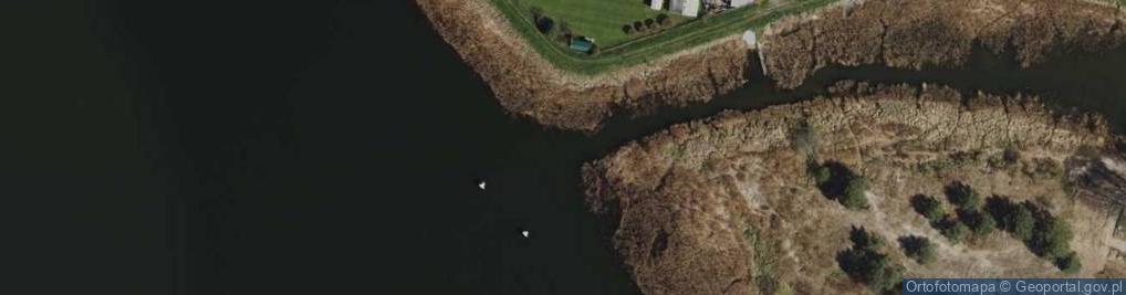 Zdjęcie satelitarne Ujście Kanału Młynówka do rz. Martwa Wisła