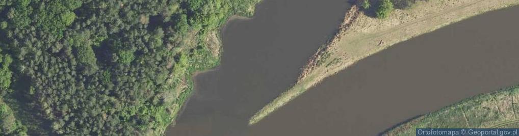 Zdjęcie satelitarne Ujście Kanału Świniarskiego do rz. Warta