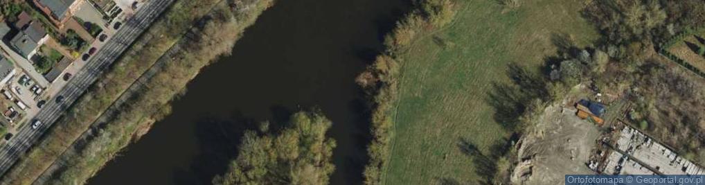 Zdjęcie satelitarne Ujście Kanału Ulgi do rz. Warta