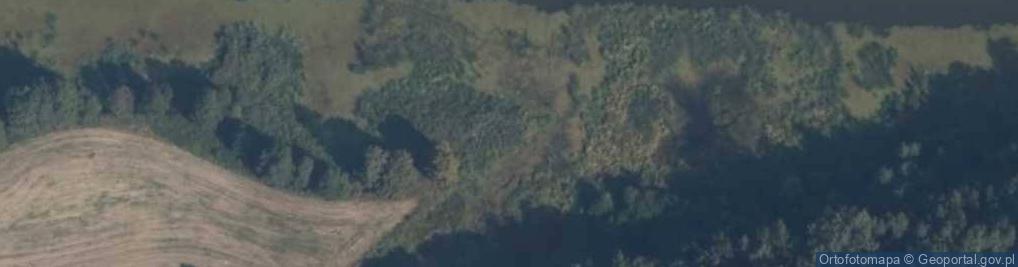 Zdjęcie satelitarne Ujście Kanału Uśnickiego do rz. Nogat