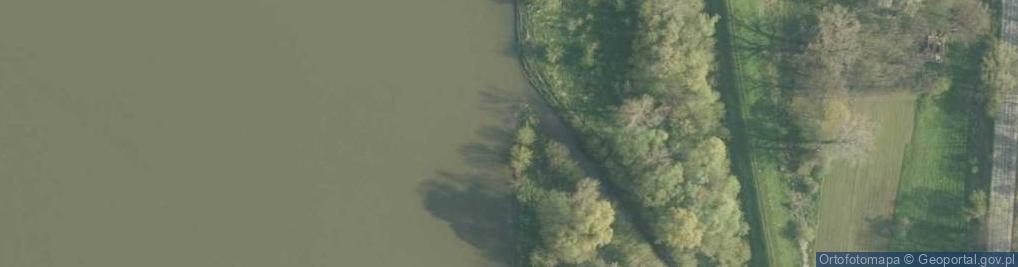 Zdjęcie satelitarne Ujście Kurówki- rz. Wisła [P374