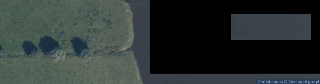 Zdjęcie satelitarne Ujście Młyńskiego Rowu do rz. Wisły