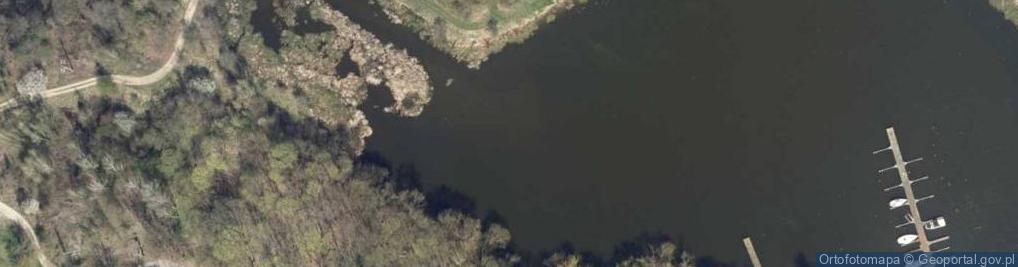 Zdjęcie satelitarne Ujście rz. Chełmiczka do rz. Wisły