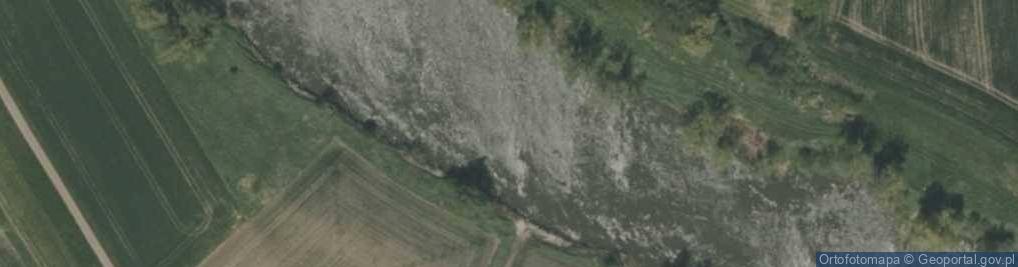 Zdjęcie satelitarne Ujście rz. Cisek do rz. Odra