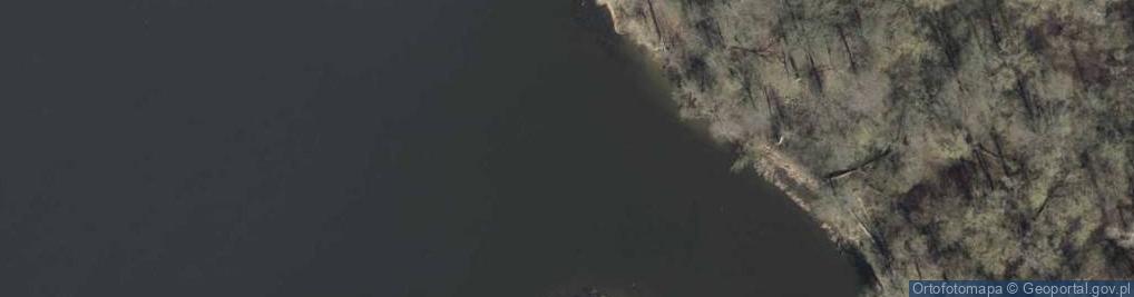 Zdjęcie satelitarne Ujście rz. Dąbski Nurt do rz. Mienia (Odra Wschodnia)