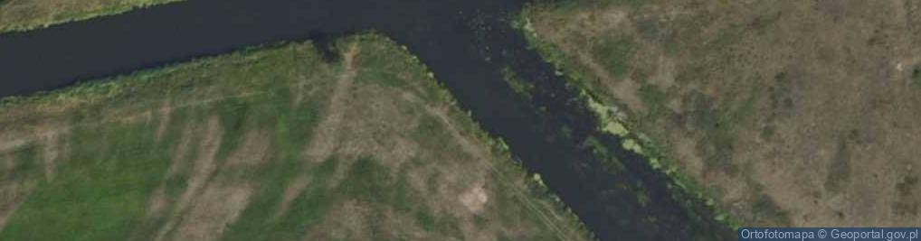 Zdjęcie satelitarne ujście rz. Gulczanka- rz. Noteć
