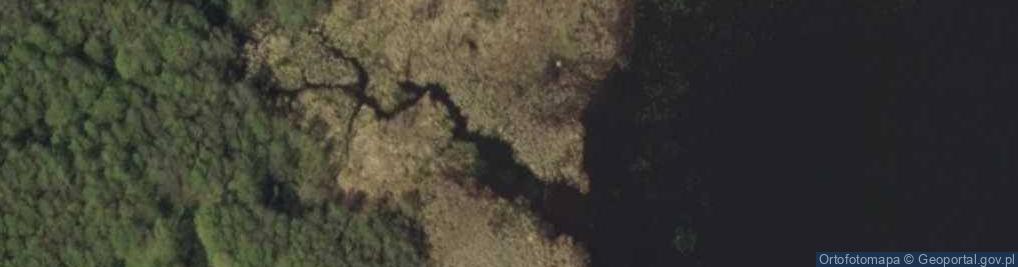 Zdjęcie satelitarne Ujście rz. Iłga do Drwęckirgo Jeziora