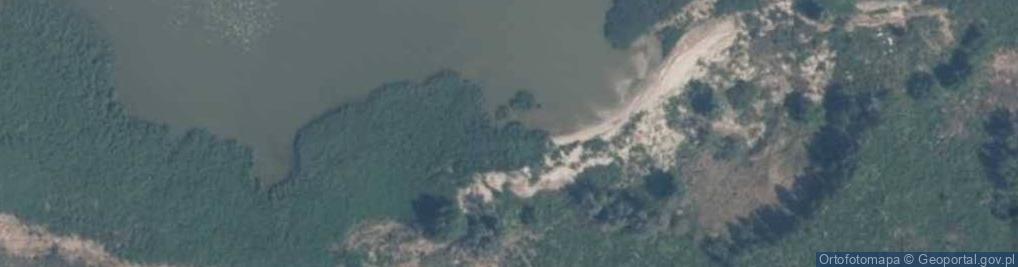 Zdjęcie satelitarne Ujście rz. Iłowiec do Zalewu Wiślanego