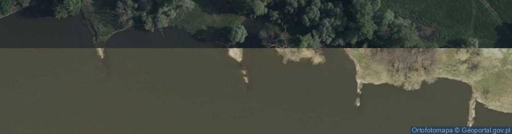 Zdjęcie satelitarne Ujście rz. Jabłonna do rz. Odra