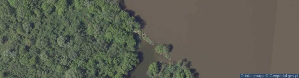 Zdjęcie satelitarne Ujście rz. Łacha do rz. Wisła