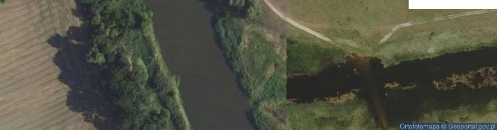 Zdjęcie satelitarne Ujście rz. Młynisko do rz. Warta