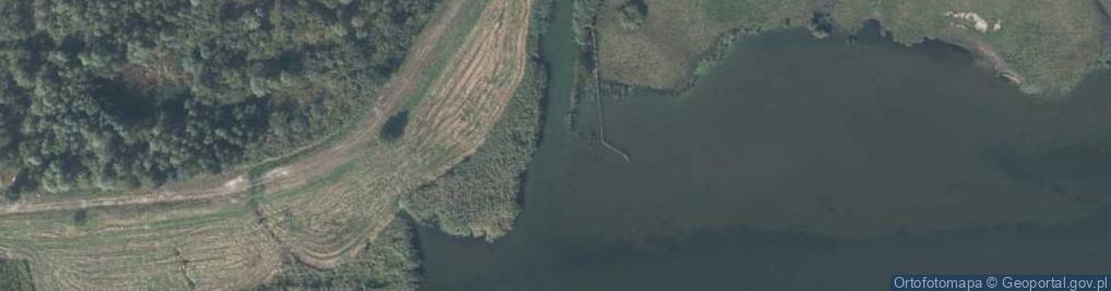 Zdjęcie satelitarne Ujście rz. Młyński Rów do rz. Stara Świna