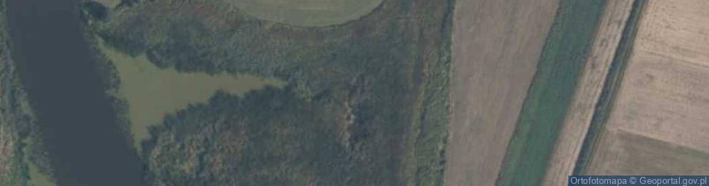 Zdjęcie satelitarne Ujście rz. Nogat do Kanału Uśnickiego