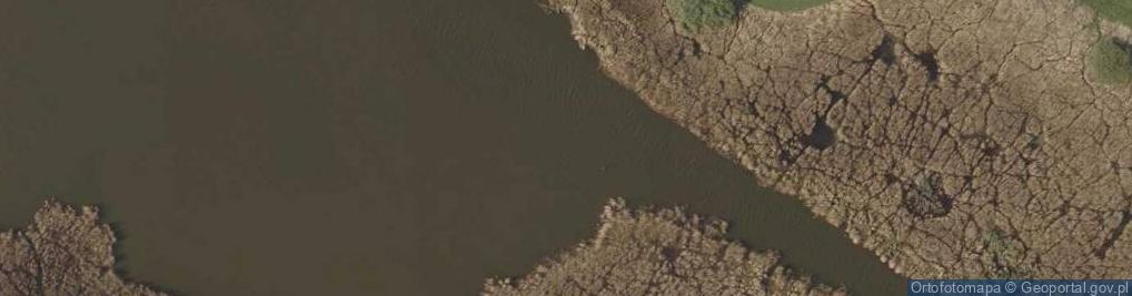 Zdjęcie satelitarne Ujście rz. Noteć do Jeziora Szarlejskiego