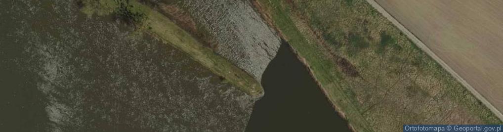 Zdjęcie satelitarne Ujście rz. Odra do rz. Kanał Odra