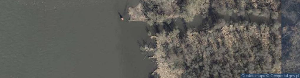 Zdjęcie satelitarne Ujście rz. Odra do rz. Leśny Rów