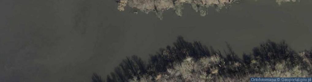 Zdjęcie satelitarne Ujście rz. Odra do rz. Święta