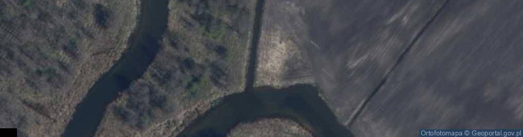 Zdjęcie satelitarne Ujście rz. Pisza Woda do rz. Pisa