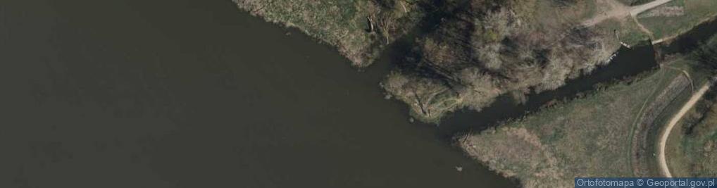 Zdjęcie satelitarne Ujście rz. Rosica do rz. Wisły