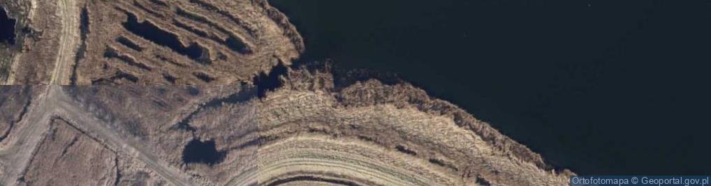 Zdjęcie satelitarne Ujście rz. Rzecki Nurt do rz. Stara Świna
