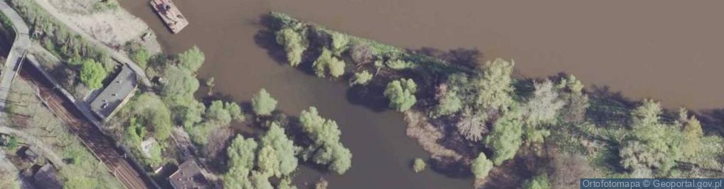 Zdjęcie satelitarne Ujście rz. Sępólno do rz. Odra