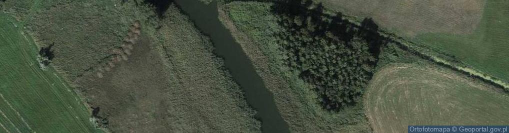 Zdjęcie satelitarne Ujście rz. Smyrnia do rz. Noteć