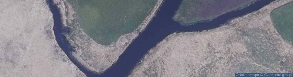 Zdjęcie satelitarne Ujście rz. Stara Rzeka do rz. Biebrza