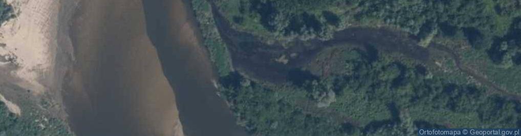Zdjęcie satelitarne Ujście rz. Struga do rz. Wisła