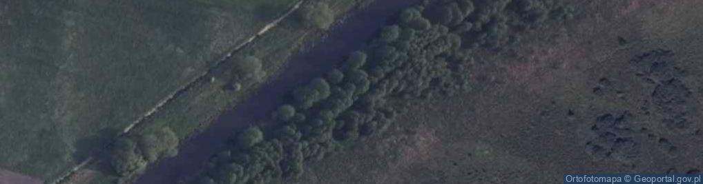 Zdjęcie satelitarne Ujście rz. Węgorówka do Kanału Augustowskiego