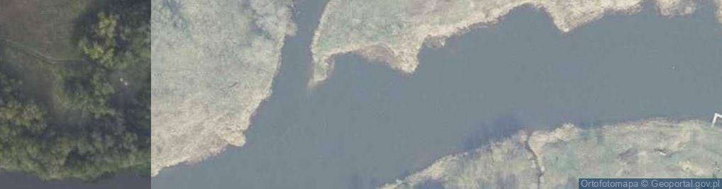 Zdjęcie satelitarne ujście rz. Wełny- rz. Warta